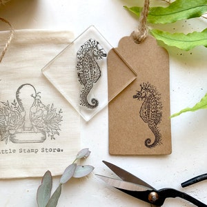 Seahorse Rubber Stamp - Native Uk Spiny Seahorse - Botanical Seahorse Drawing - Rubber Stamp - Clear Stamps - Stamp - Little Stamp Store