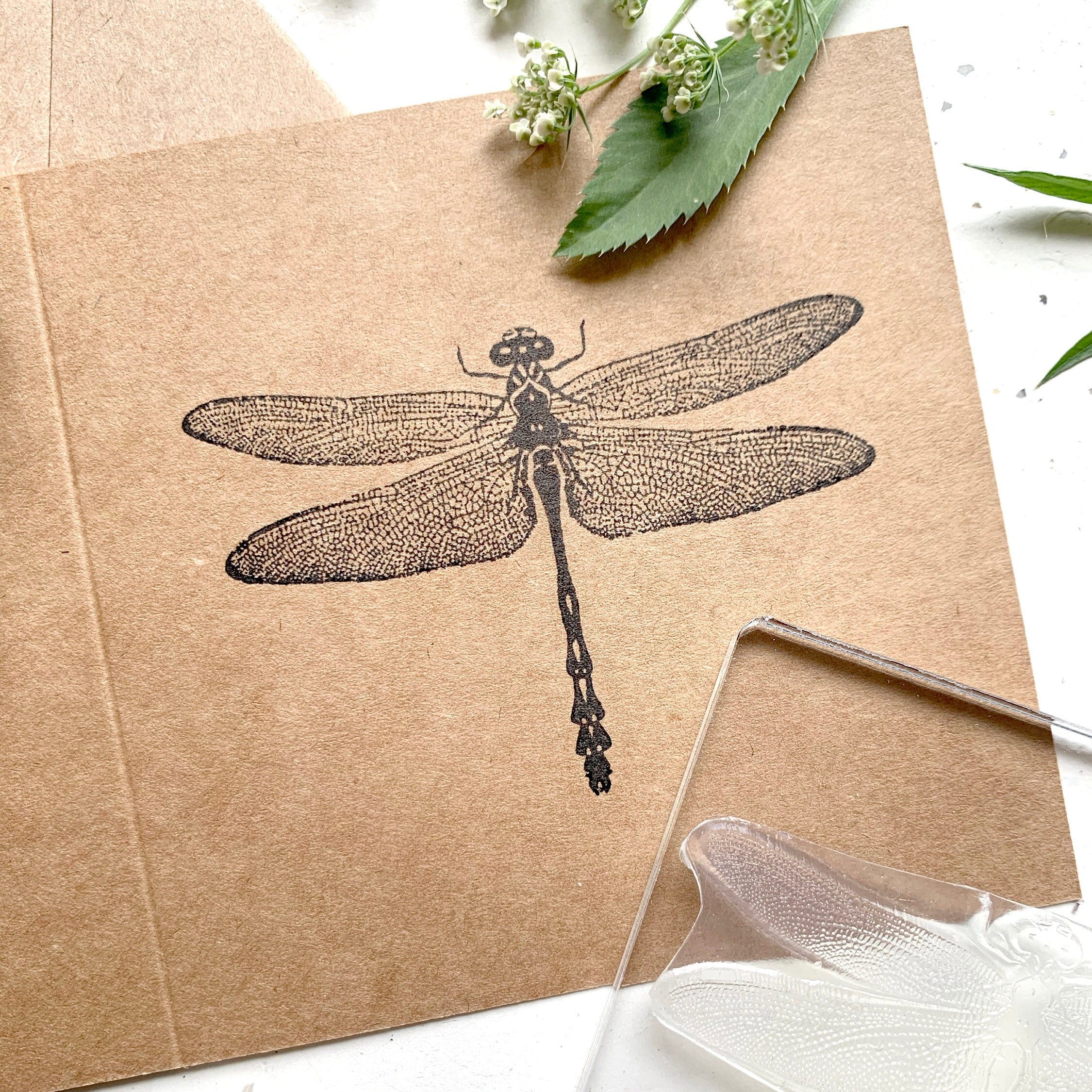 Ex libris Dragonfly Book Stamp Personalized, Insect Bug Floral
