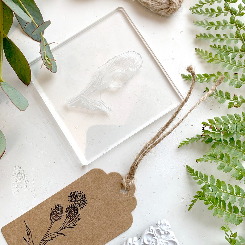 Scottish Thistle Wild Flower Clear Rubber Stamp Scottish Etsy