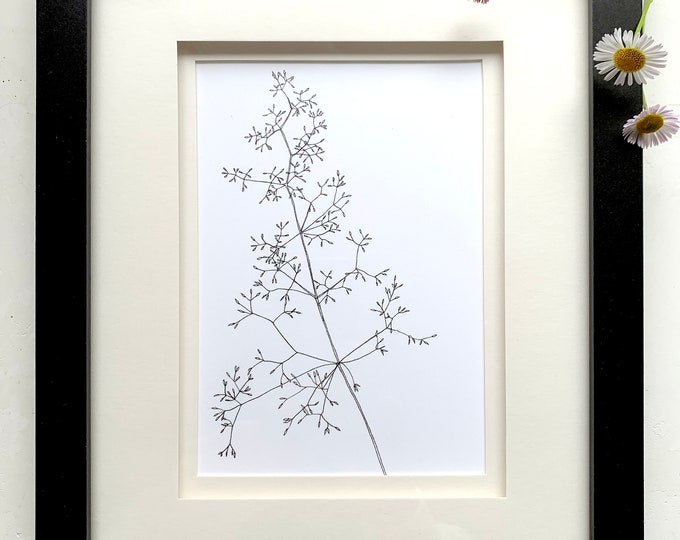 Botanical Wild Grass Print