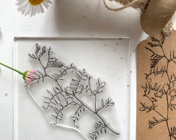 Vetch Rubber Stamp - Wild Flower