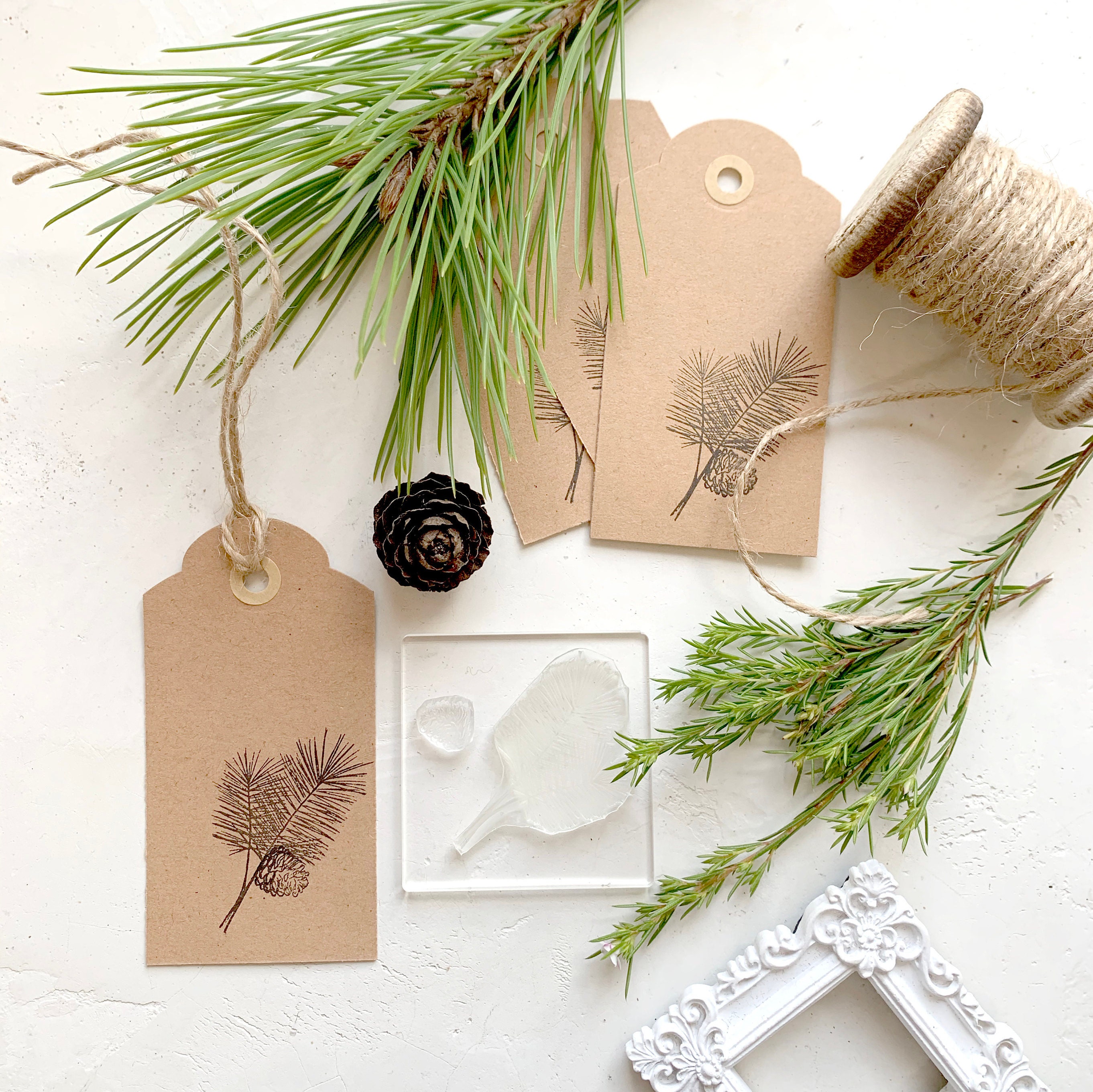 pine tree stamp for affinity photo pine tree stamp for affinity photo