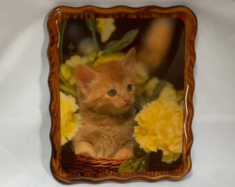 Orange Kitten Etsy