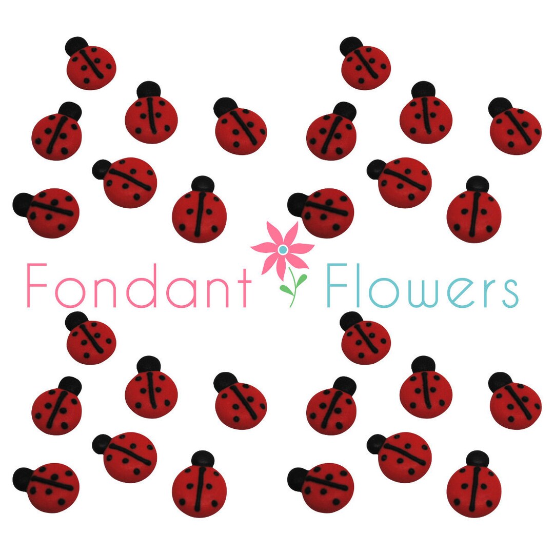 24 Royal Icing Ladybugs for Cake Decoration Cupcake Topper Birthday