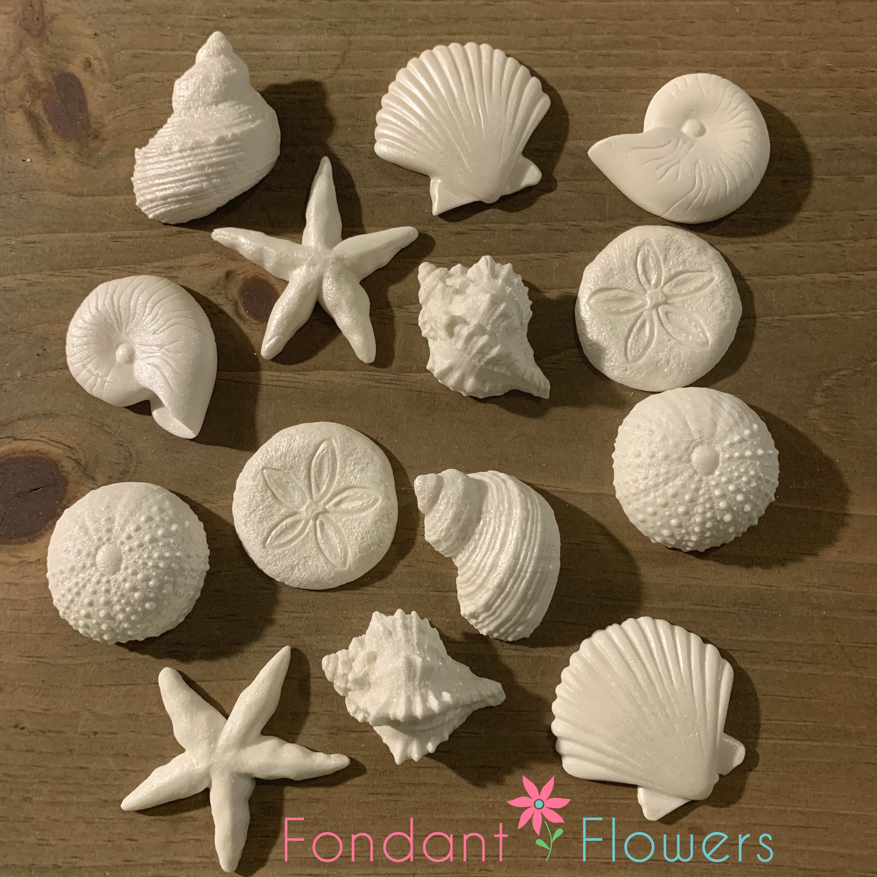 Set of 14 Edible Sugar Shells Very Detailed Cupcake or Etsy