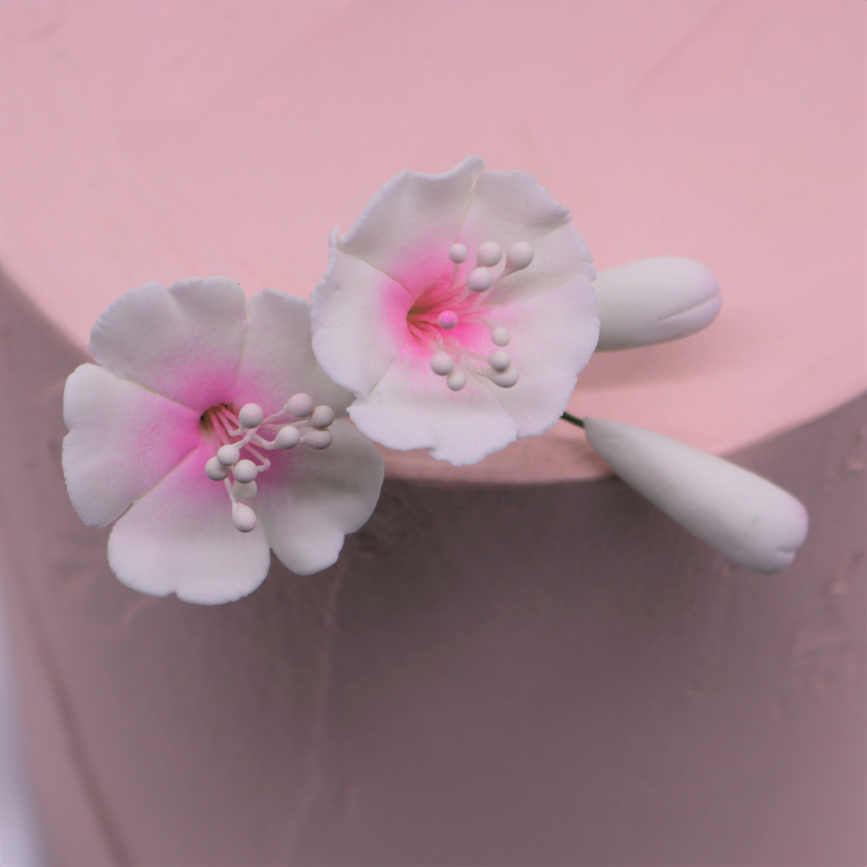 70 Decorazioni Floreali Commestibili Per Torte – Fiori Di Ciliegio Colorati, In Carta Di Wafer, Per Matrimoni E Compleanni, Varie Misure - 3