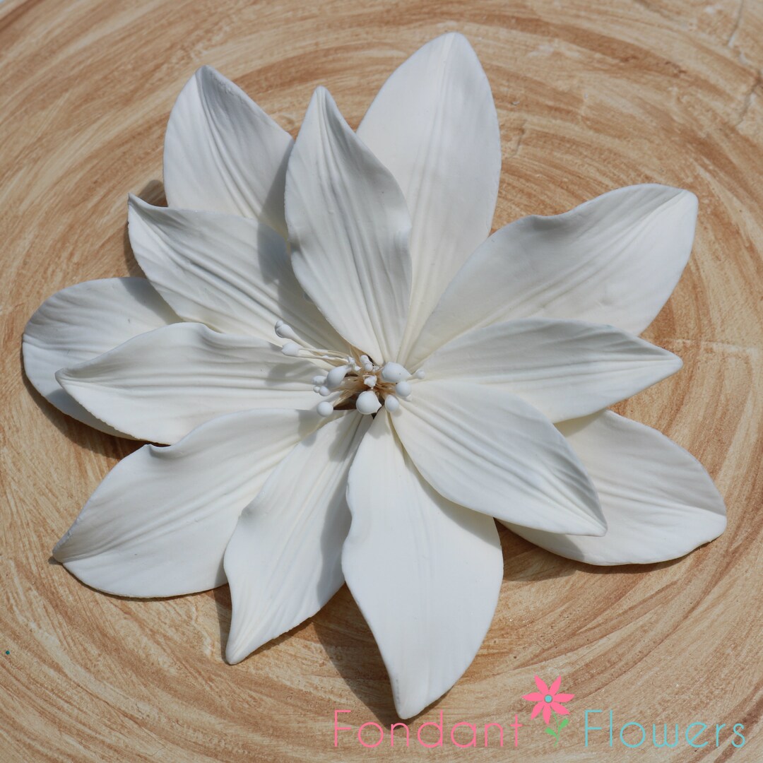 White Water Lily Gumpaste Sugar Flower Cake Topper Etsy