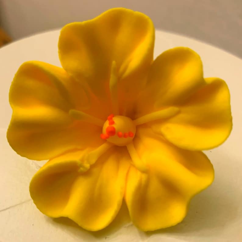 Set of 6 Royal Icing Hibiscus 100 Edible Great for Luau Etsy