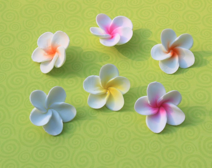 Set of 12 Plumeria Sugar Flowers 1.5 100 Edible Great for Luau Cake or