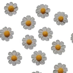 24 margherite di glassa reale - Decorazione per cupcake commestibile a forma di margherita bianca con centro giallo
