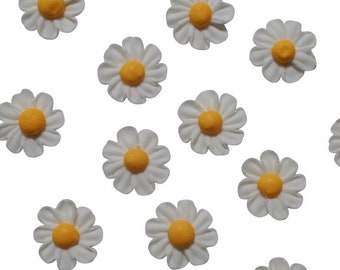 24 Royal Icing Daisies - White with Yellow Centers Edible Daisy Cupcake Topper