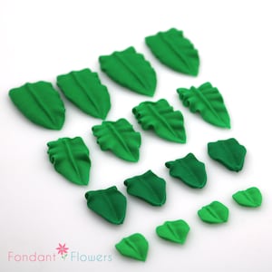 Puede incluir: Surtido de hojas de fondant verde en varios tamaños y formas, perfectas para decorar pasteles y cupcakes.