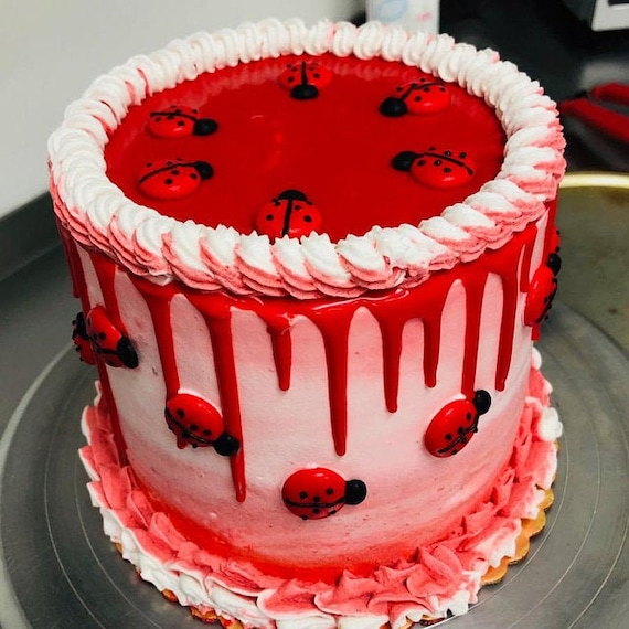24 Coccinelles Royales De Glacage Pour La Decoration De Gateau Etsy