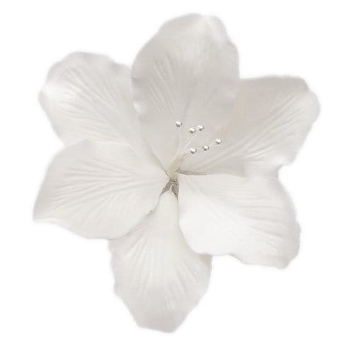 Set Of 3 White Gladiola Sugar Flowers Gumpaste Gladiolus Etsy Set Of 3 White Gladiola Sugar Flowers Gumpaste Gladiolus Etsy