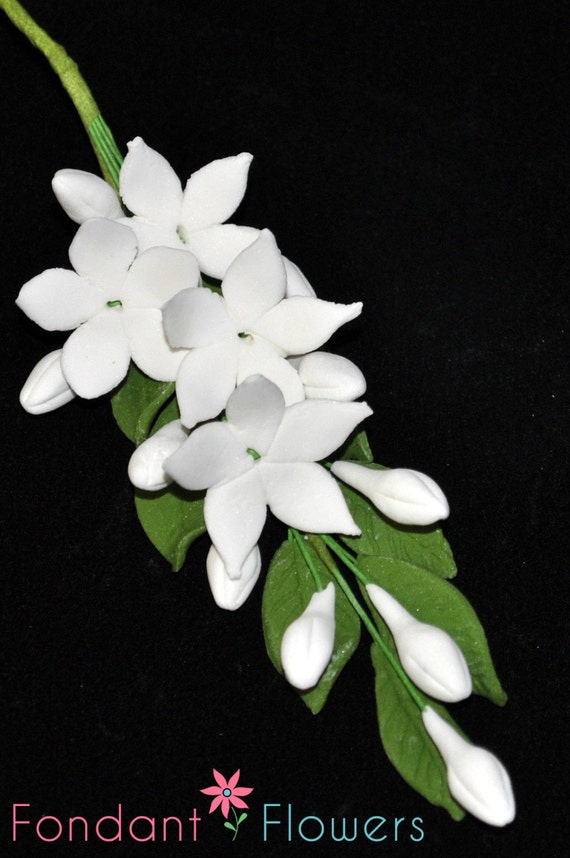 4-1/2 Gumpaste Stephanotis Filler Spray Cascade Wedding | Etsy