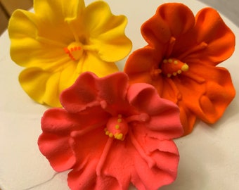 Set of 6 Royal Icing Hibiscus - 100% Edible Great for Luau Cake or Hawaiian Cupcakes