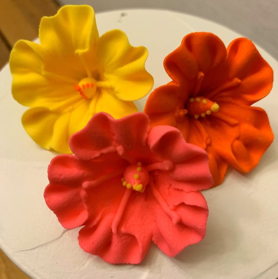 Set of 6 Royal Icing Hibiscus 100 Edible Great for Luau Etsy