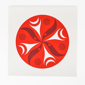 Resumen 2011 Colibríes nativos alimentándose Impresión de lessLIE