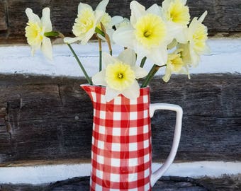 Beautiful Red Gingham Stoneware Pitcher
