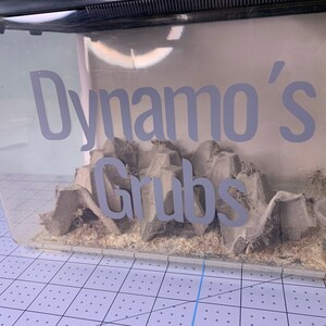 Könnte beinhalten: Ein durchsichtiger Plastikbehälter mit einem grauen Etikett, auf dem "Dynamo's Grubs" steht. Der Behälter ist gefüllt mit braunen Papp-Eierkartonteilen und einem kleinen durchsichtigen Plastikbehälter mit grünen und braunen Gegenständen.