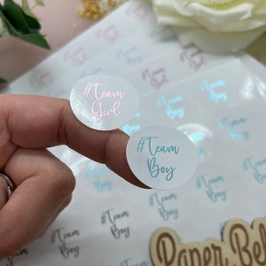 Team Girl Team Boy Geslacht onthullen. Babyshower. Verijdelde stickers. Stickers voor feesttassen.