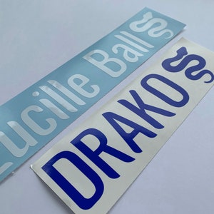 Custom Vivarium Name Sticker Label Snake