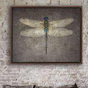 Dragonfly Distressed Stone Background Art Print on Canvas in Floating Frame