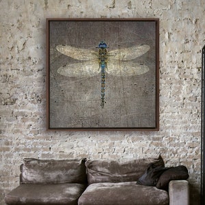 Dragonfly on Distressed Stone Background in a Floating Frame Canvas - Dragonfly and Nature Themed Gifts