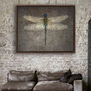 Dragonfly Themed Framed Wall Art, Dragonfly on Distressed Stone Background Print on Rectangular Canvas in a Floating Frame