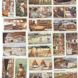 Products of the WORLD 44/50 Coffee Rubber Wheat Cigarette Cards Vintage Advertising John Player and Sons Litho  Tobacco Trade Card 1928 GG60