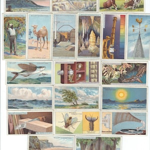 Savez-vous Anecdotes WD & HO Wills 20/50 cartes cigarette publicité vintage commerce Litho Card 1922 GG52