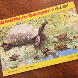 WILDLIFE in DANGER Vintage Brooke Bond Tea Card 1966 Collector Book Only 3 kaarten - voornamelijk LEEG Boekje kaarten bedreigde dieren Trade (B)