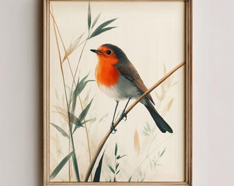 Vintage Robin Bird Print, Cottagecore Nature Wall Art Printable (Digital Download) 771