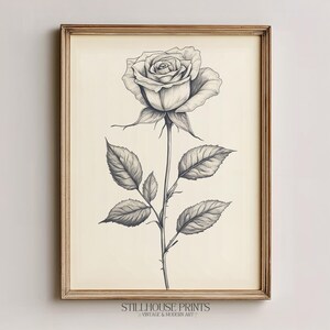 May include: A framed black and white botanical print featuring a detailed illustration of a rose. The rose is depicted in a realistic style with intricate shading, showcasing the petals, stem, and leaves. The print is set against a cream-colored background.