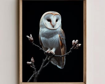 May include: A framed print featuring a barn owl perched on a branch against a black background. The owl has white, gray, and brown feathers, with a heart-shaped facial disc. The branch has small buds. The frame is a warm, light brown color. The text "STILLHOUSE PRINTS" is at the bottom.