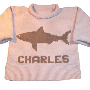 Personalized Summer Vacation Shark Pullover