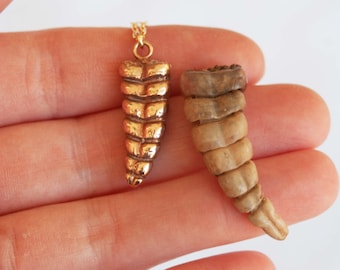 May include: A gold-colored pendant necklace and a natural-toned, segmented object. The pendant has a textured, ribbed design. The other object has a similar shape and texture, with a lighter color and a natural appearance.