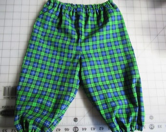 St. Patricks day pants and/or vest