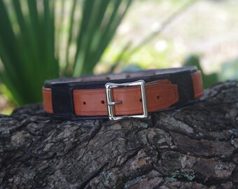 Black & Brown Leather Dog Collar