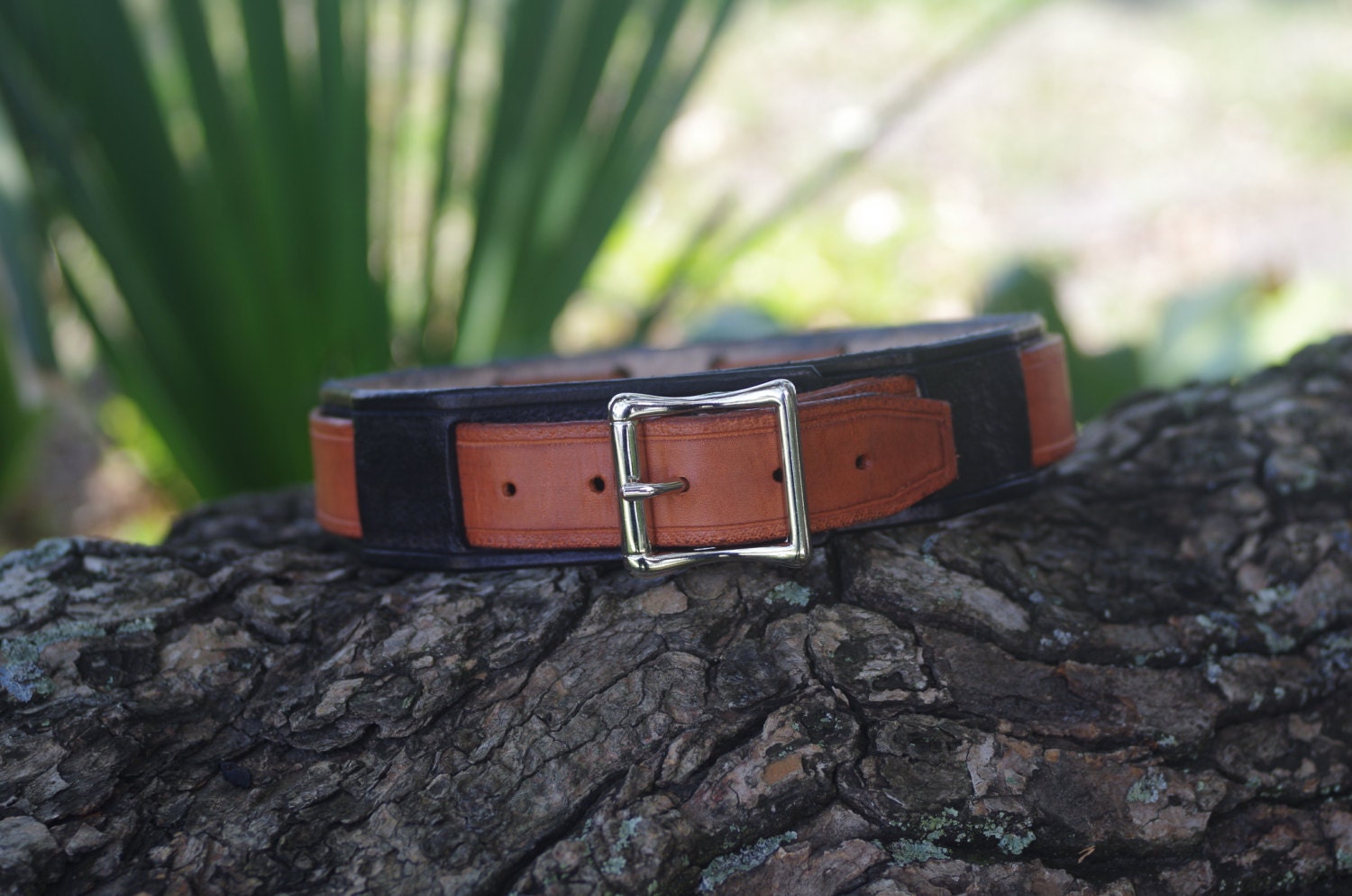 Black & Brown Leather Dog Collar Etsy