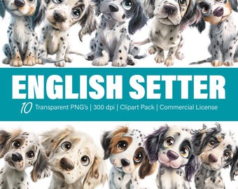 English Setter Dog Clipart – 10 PNG Files, Transparent Background (Commercial Use)