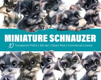 ミニチュアシュナウザー犬のクリップアート – PNGファイル10個、透明背景（商用利用可）