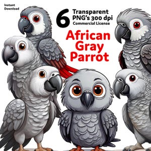 Customizable African Gray Parrot Clipart Bundle – Editable PNG Files for Sublimation, Stickers, Crafts, and Digital Designs – Instant DL