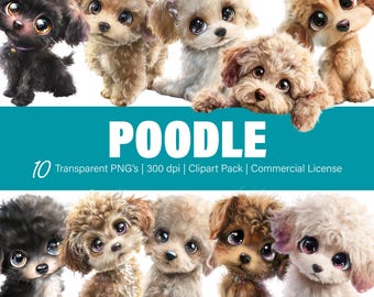 プードル犬のクリップアート – PNGファイル10個、背景は透明（商用利用可）