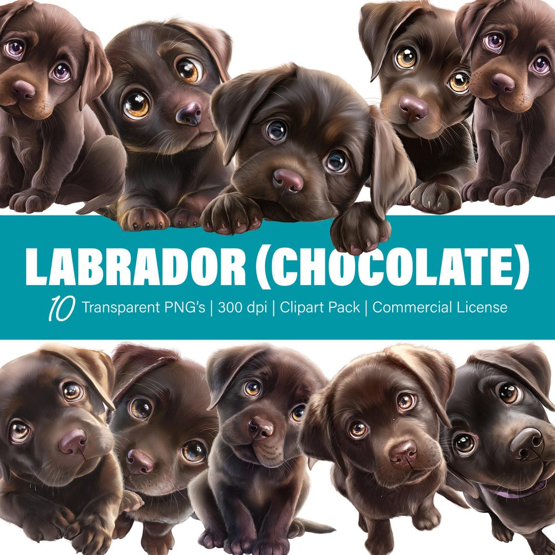 Chocolate Labrador Dog Clipart – 10 PNG Files, Transparent Background ...