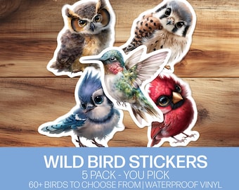 Wild Bird Stickers: Custom Waterproof Vinyl Decals, Bird Lover Gift