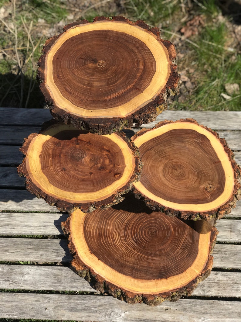 Large Log Light Elm Wood Rustic Cake 50 Cupcake Stand