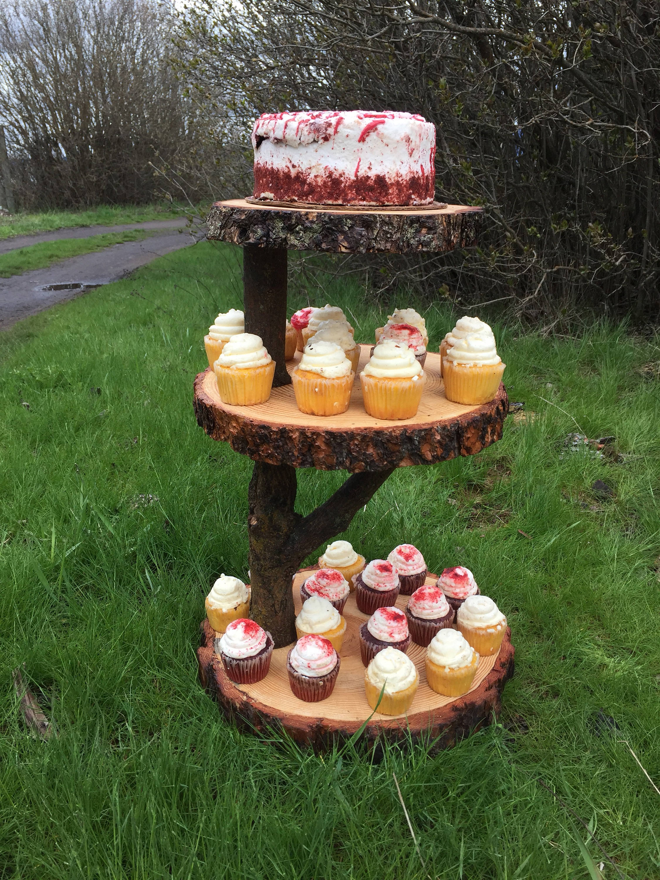 Presentation & Packaging Small Log Pine Wood Rustic Cake Cupcake Stand