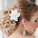 see more listings in the Bridal hair pin, clip section