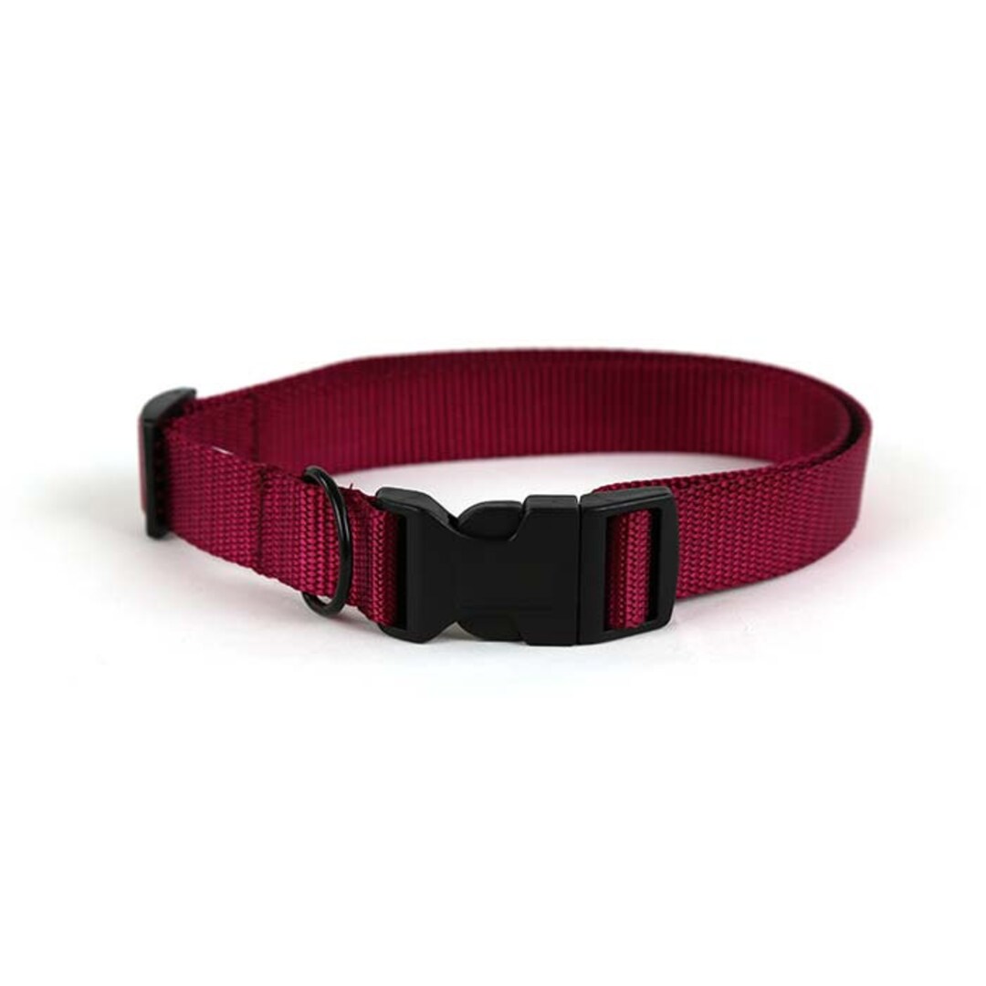 Maroon Dog Collar Etsy